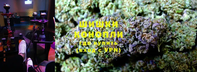 Бошки Шишки THC 21%  Алапаевск 